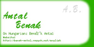 antal benak business card